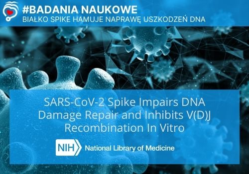 Białko Spike hamuje naprawę uszkodzeń DNA - "szczepionki" doprowadzają do produkcji białka Spike w organizmie człowieka