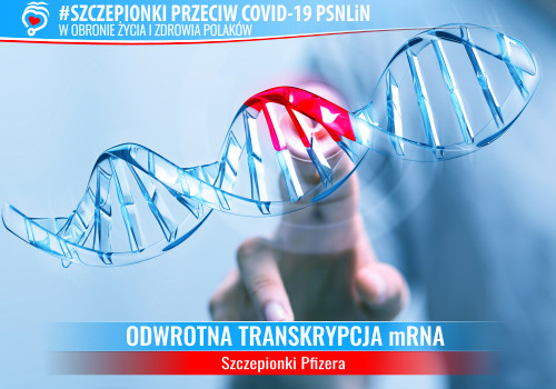 Wewnątrzkomórkowa odwrotna transkrypcja mRNA szczepionki Pfizer