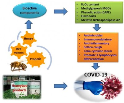 COVID 19 - korzyści ze stosowania bioaktywnych związków produktów pszczelich