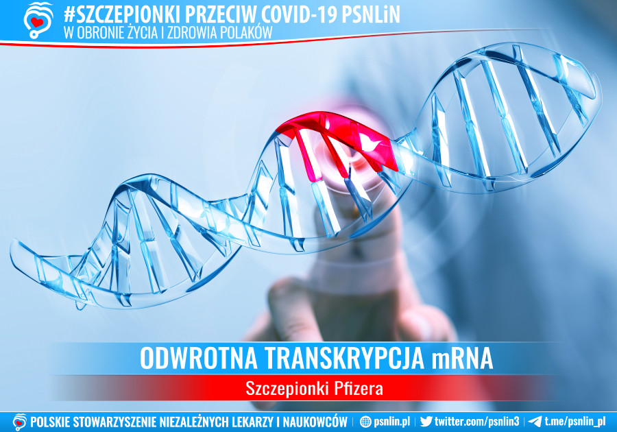 Szczepionki_przeciw_Cowid-19-PSNLiN-Odwrotna_transkrypcja_szczepionki_mRNA_Pfizera