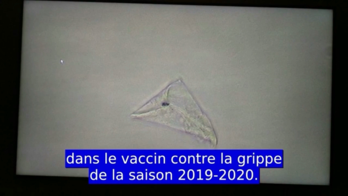 telenek gragenu w szczepionkach przeciw grypie 2019-2020